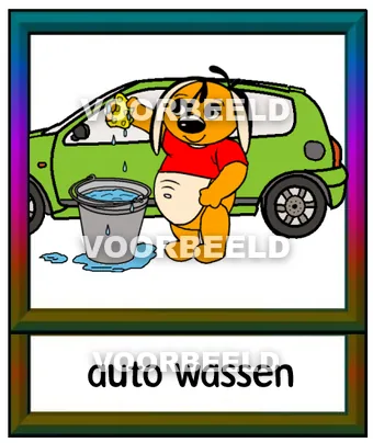 Auto wassen