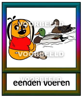 Eenden voeren