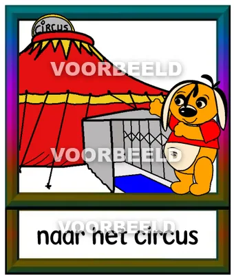 Naar het circus