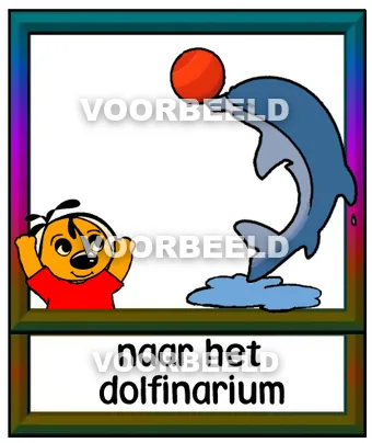 Naar het dolfinarium