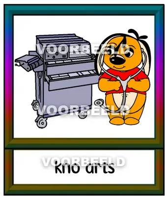 KNO arts