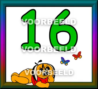 16