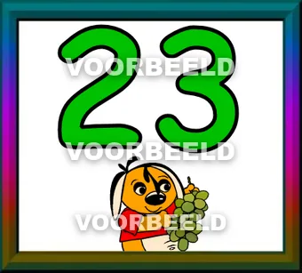 23