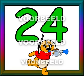 24