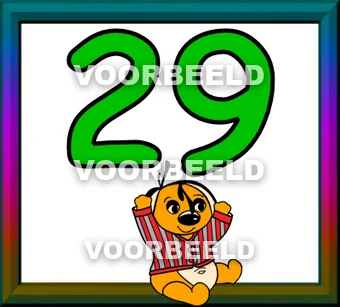 29