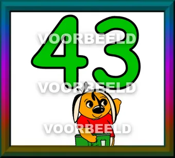 43
