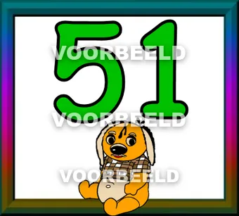 51