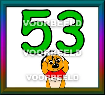53