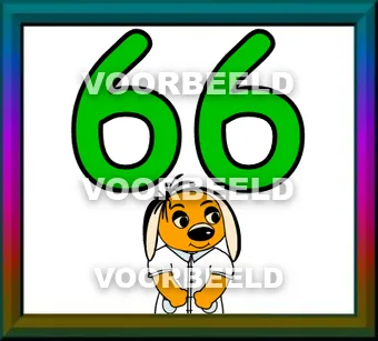 66