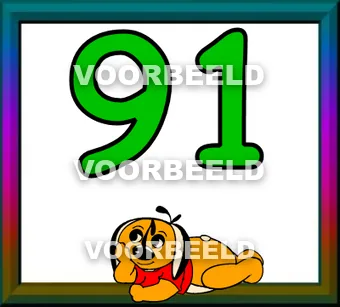 91