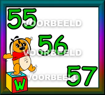 55-56-57