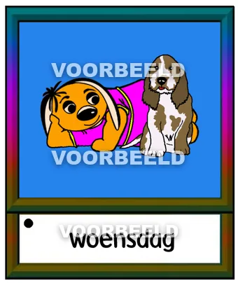 Kleur woensdag