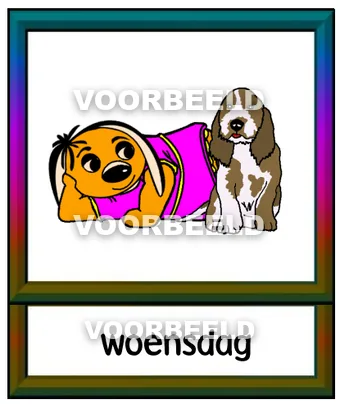 Woensdag m