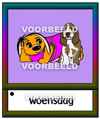 Woensdag paars