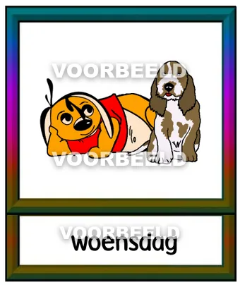 Woensdag
