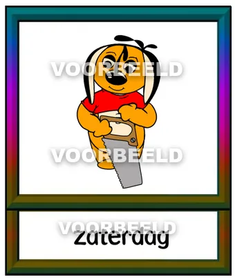 Zaterdag