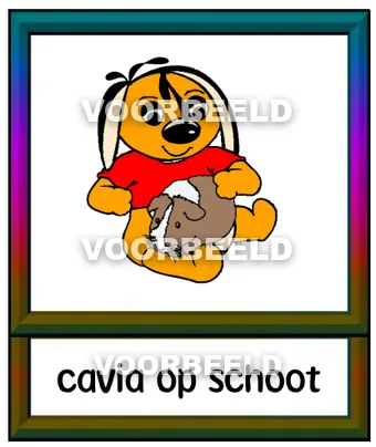 Cavia op schoot