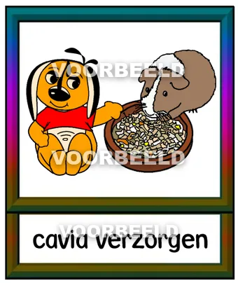 Cavia verzorgen