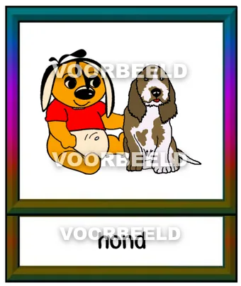 Hond