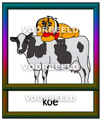 Koe