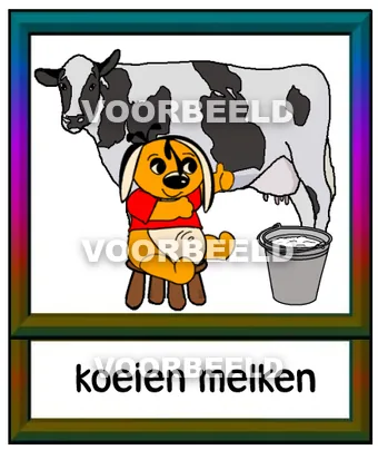 Koeien melken