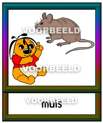Muis
