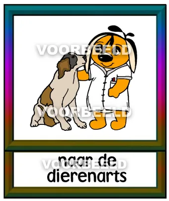 Naar de dierenarts