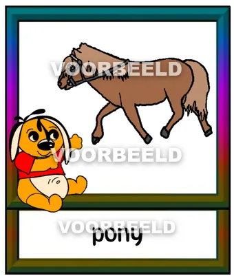 Pony