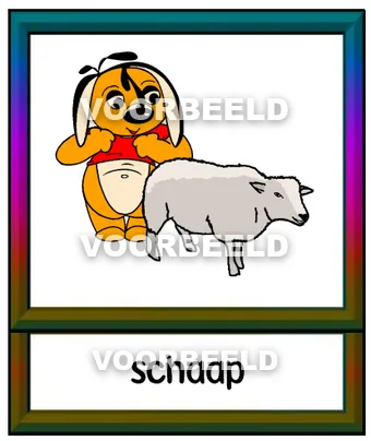 Schaap