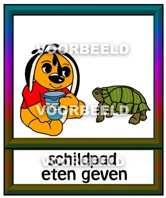 Schildpad eten geven