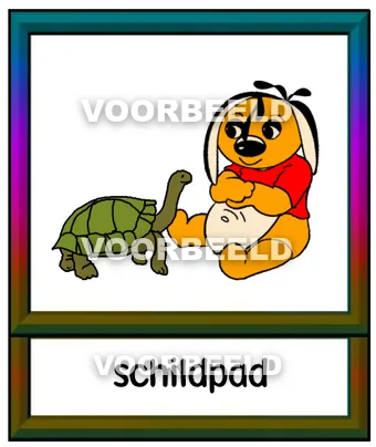 Schildpad