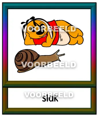 Slak