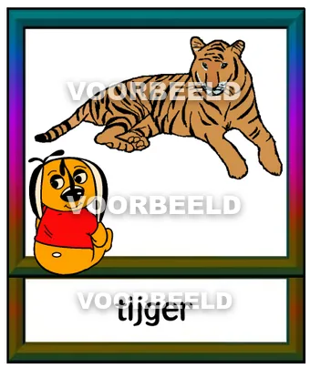 Tijger