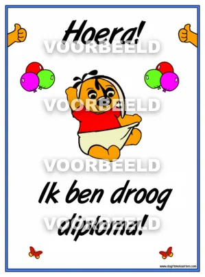 Droog diploma