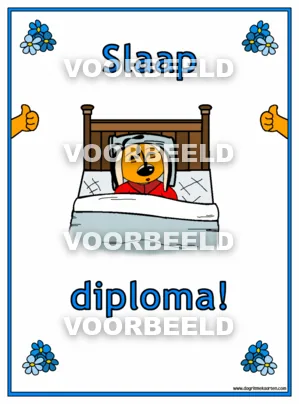Slaap diploma