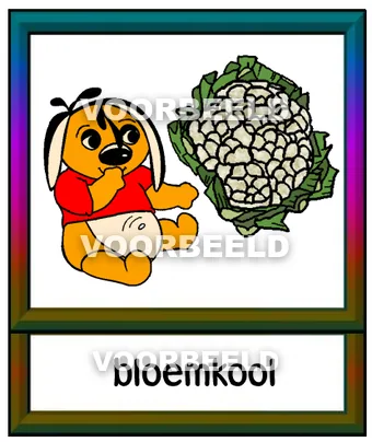 Bloemkool