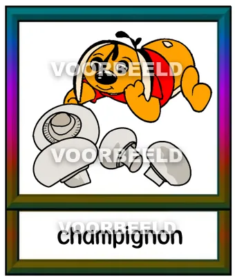 Champignon