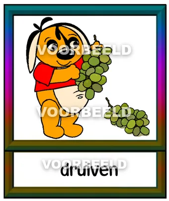 Druiven