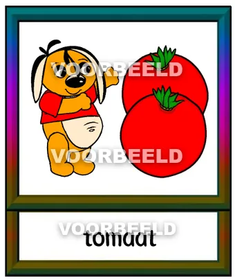 Tomaat