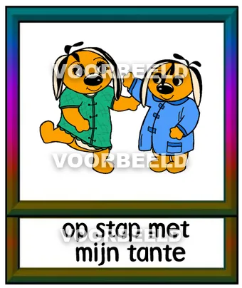 Op stap met mijn tante