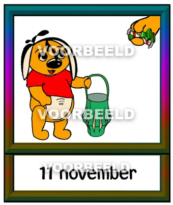 11 november
