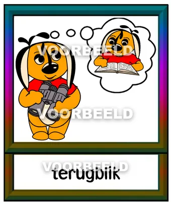 Terugblik