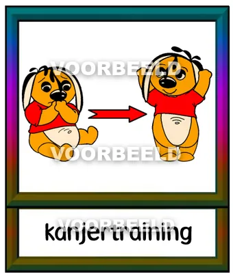 Kanjertraining