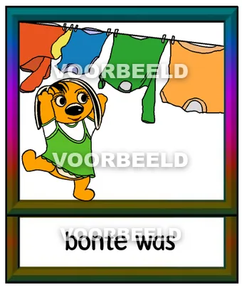 Bonte was