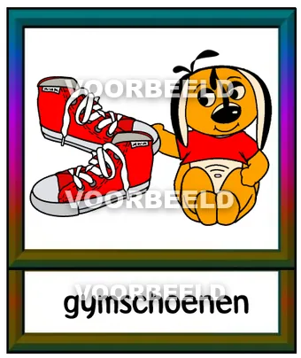 Gymschoenen