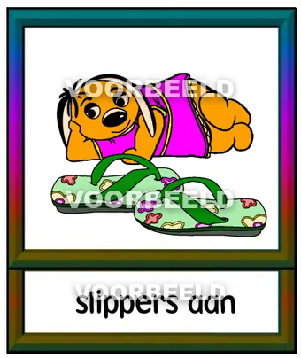 Slippersaan
