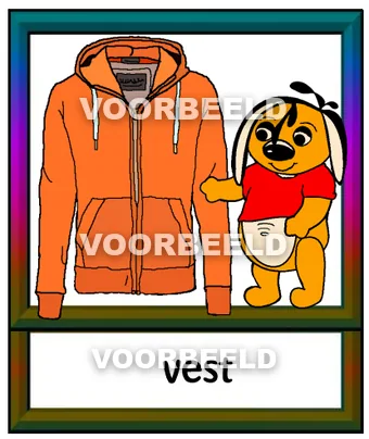 Vest