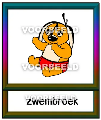 Zwembroek