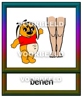 Benen