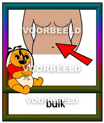 Buik